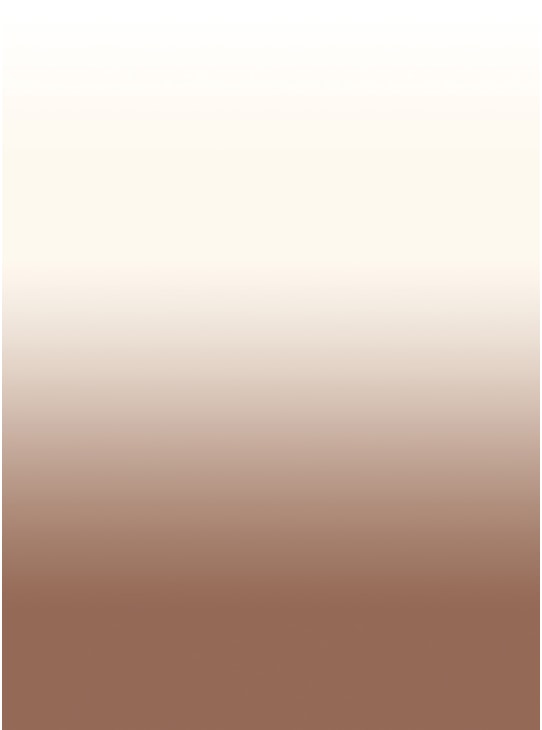 PAPEL DE PAREDE DEGRADE LINHO MARROM 109
