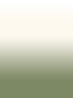 PAPEL DE PAREDE DEGRADE VERDE 125
