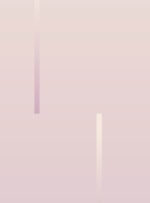 PAPEL DE PAREDE DESVIOS II ROSA
